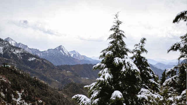 Dhanaulti Tour 3 Days Package From Delhi.
